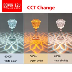 BOKUN Decoration Pool Charging Touch Wireless Cordless Table Night Lamp Flower RGB Light Up Bar LED Table Light with Remote