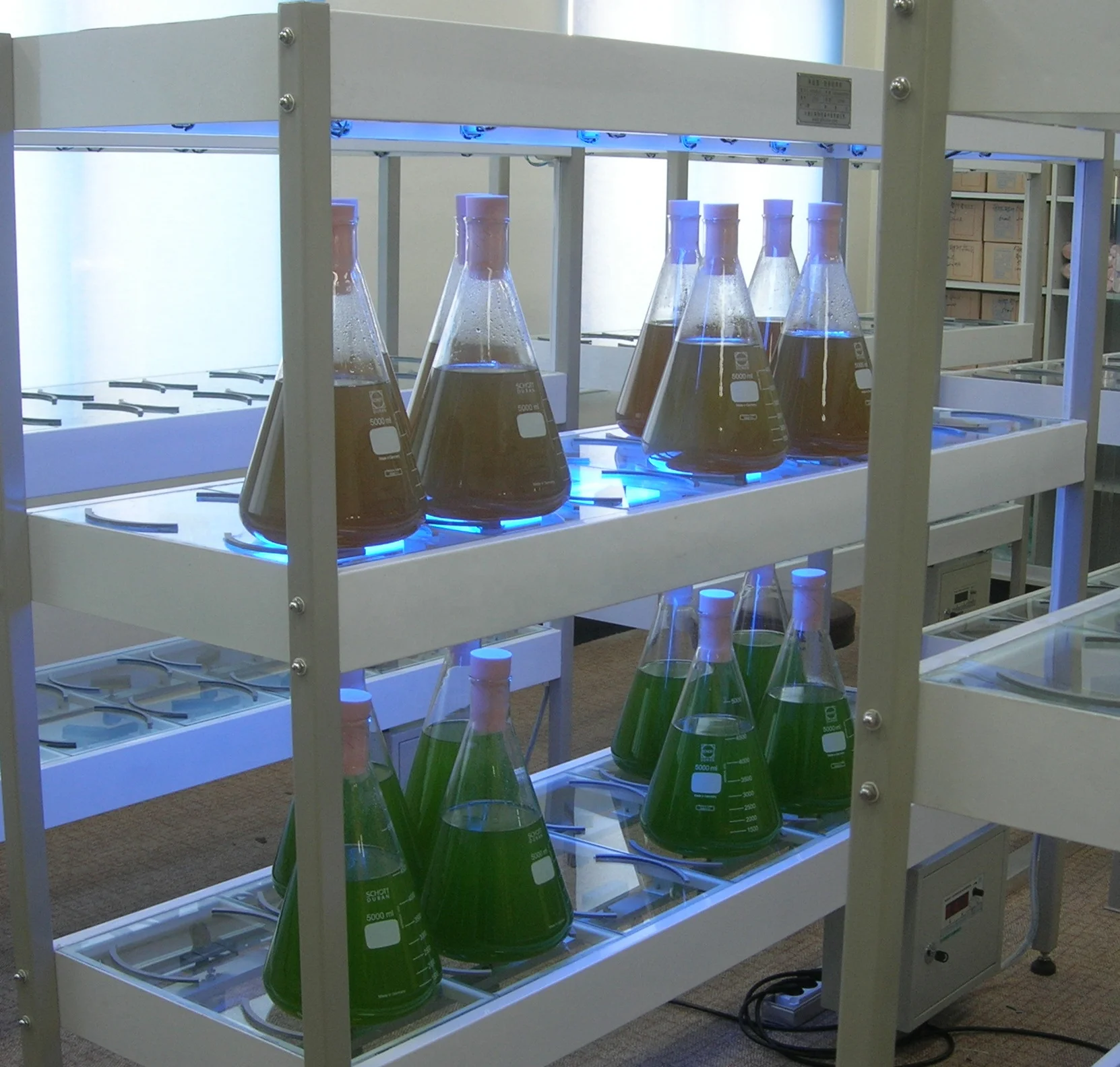 chlorella,microalgae, algae culture for algae storage rack