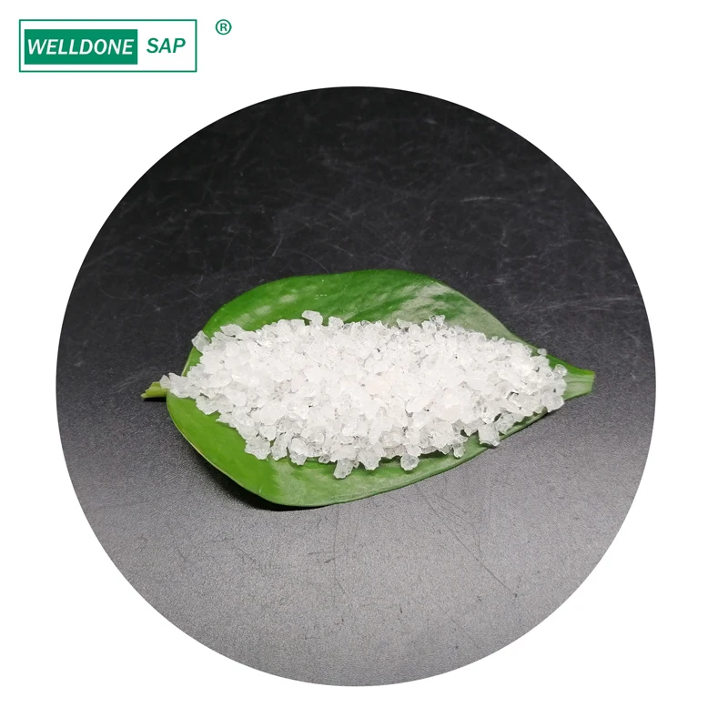 WELLDONE De Potassium Polyacrylate Prix Hydrogel Save Irrigation Manufacturing Potassium Polyacrylate Powder in Bags