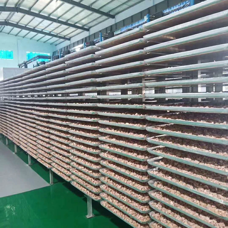 Natural Organic Food Powder Sliced Fruit Chips Freeze Dried Banana