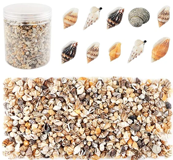 Маленькая спиральная раковина для морского пляжа 5-12 мм