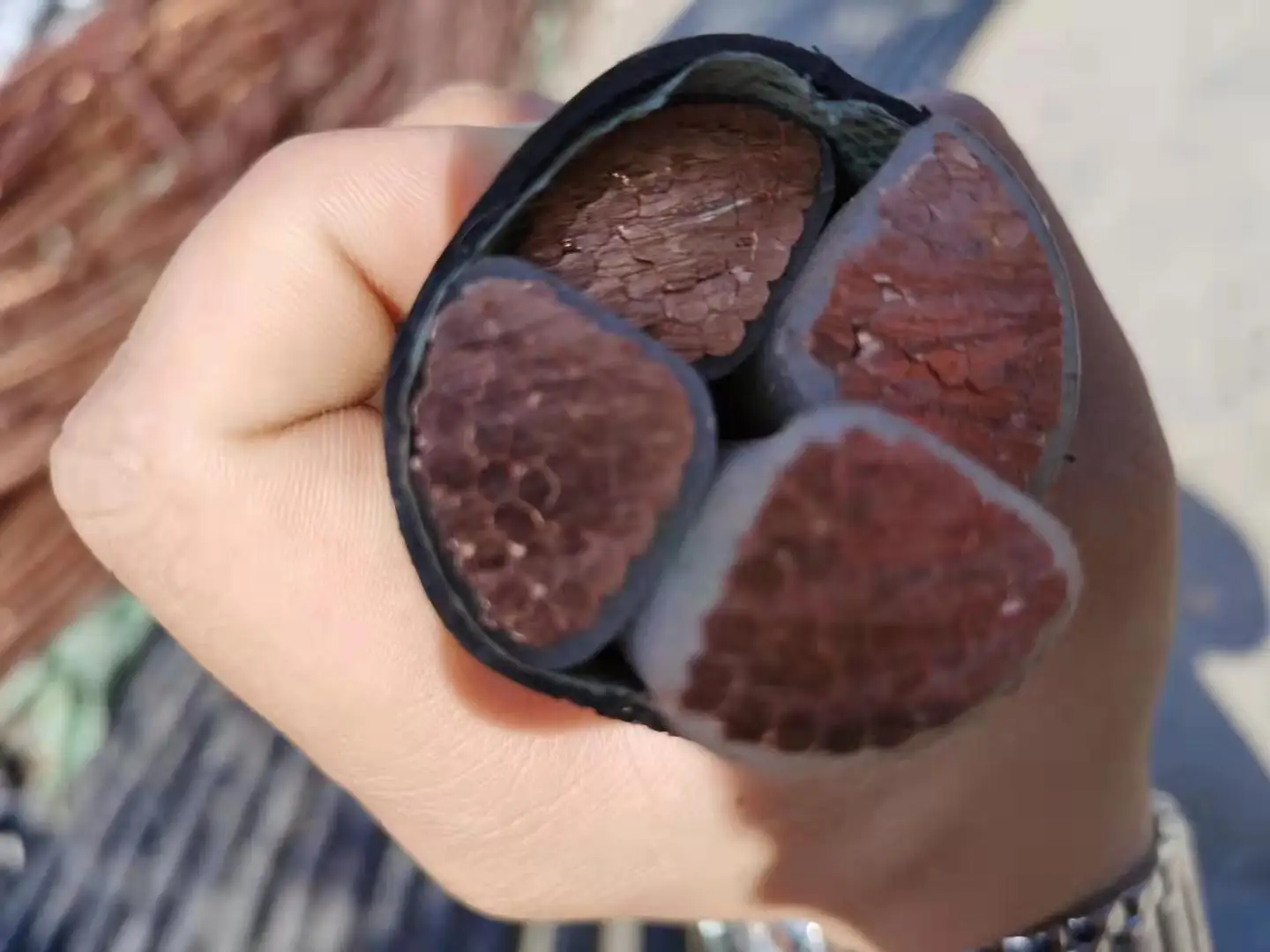 Brass Strip Coil High Quality C2740 C2741 Copper Orange Color Wire Feature Material Origin Type Drawing Certificate Shape Size