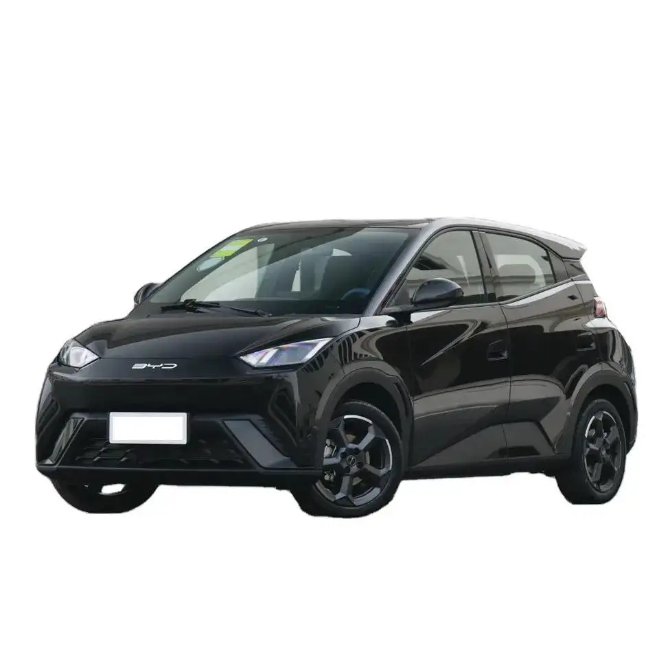 2023 байд Чайка 5-дверный 4-местный Электрический новый автомобиль 305 км небольшой Новая энергия