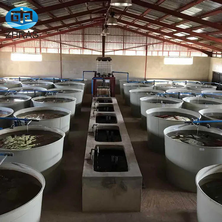 OEM factory customized high quality eco friendly tilapia pond aquaculture ras system for fish farming