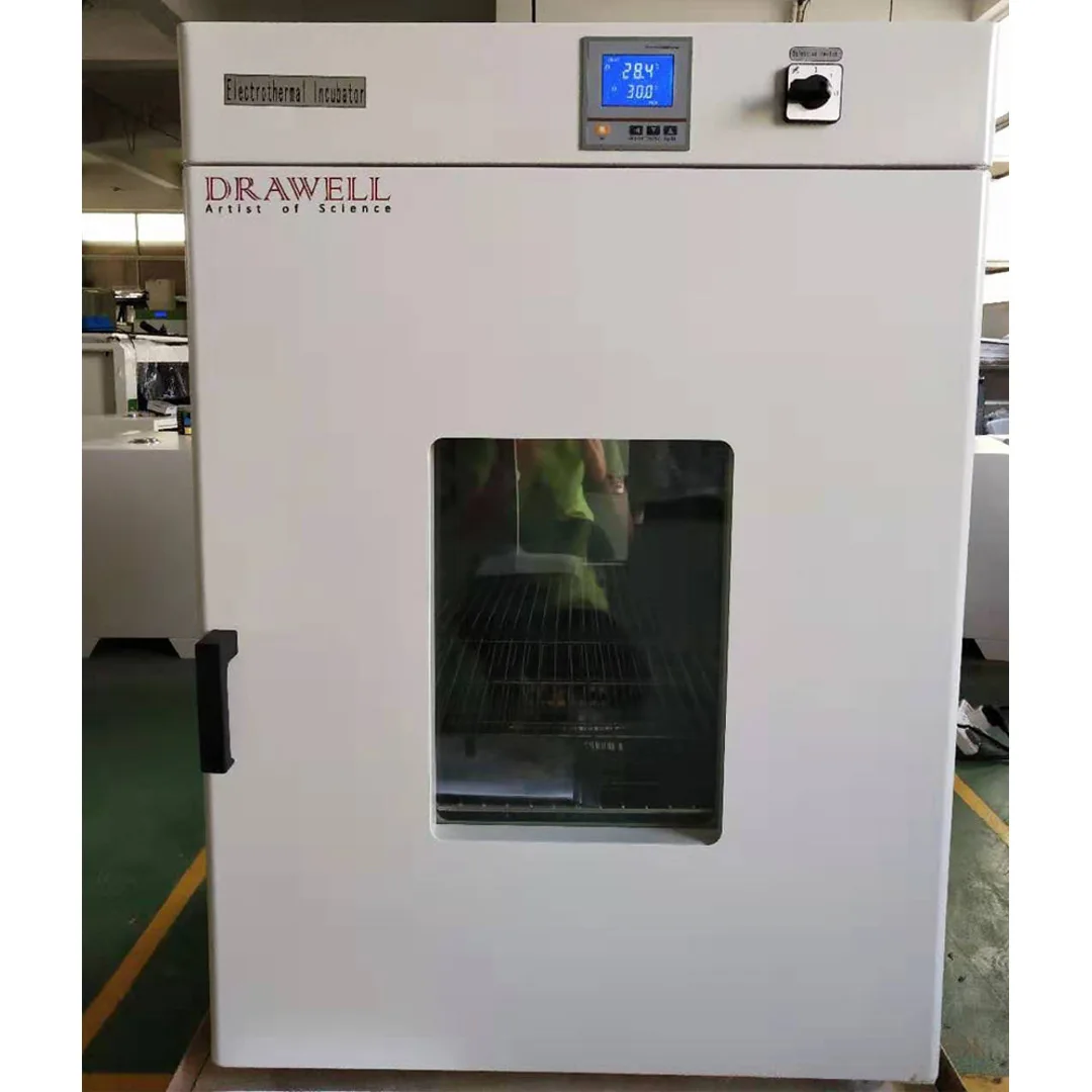 Laboratory Constant Temperature Direct Heat Incubator