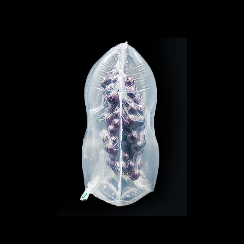 Factory price nylon protective grape air filled bags inflatable plastic air bag packaging