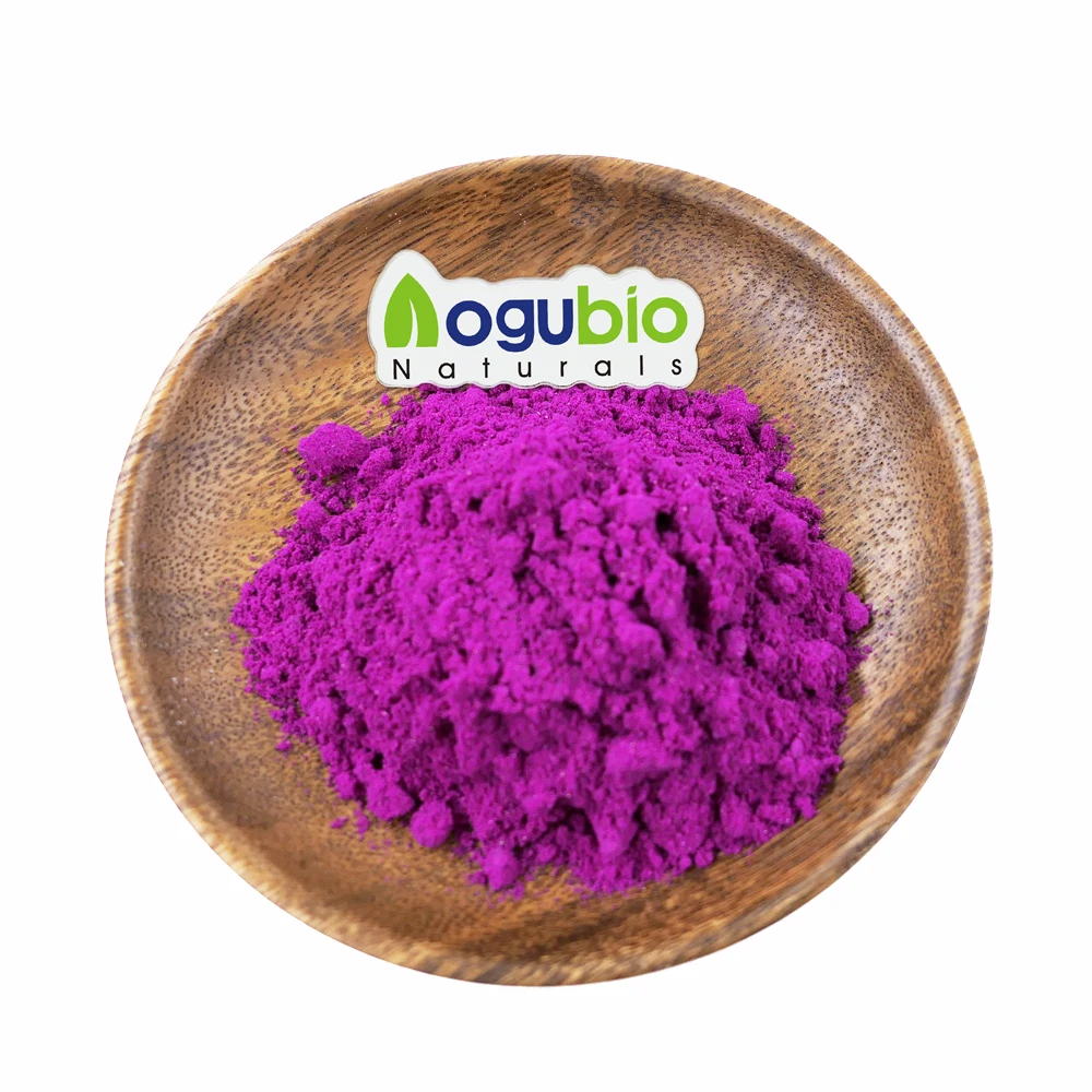 OEM Private Label Natural Freeze Dried Red Pitaya Dragon Fruit Powder