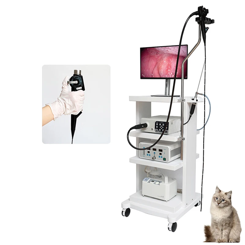 Gastroscopy And Colonoscopy Camera Laparoscope Veterinary Endoscope Imaging System Dog Cat Ent Endoscopy Camera