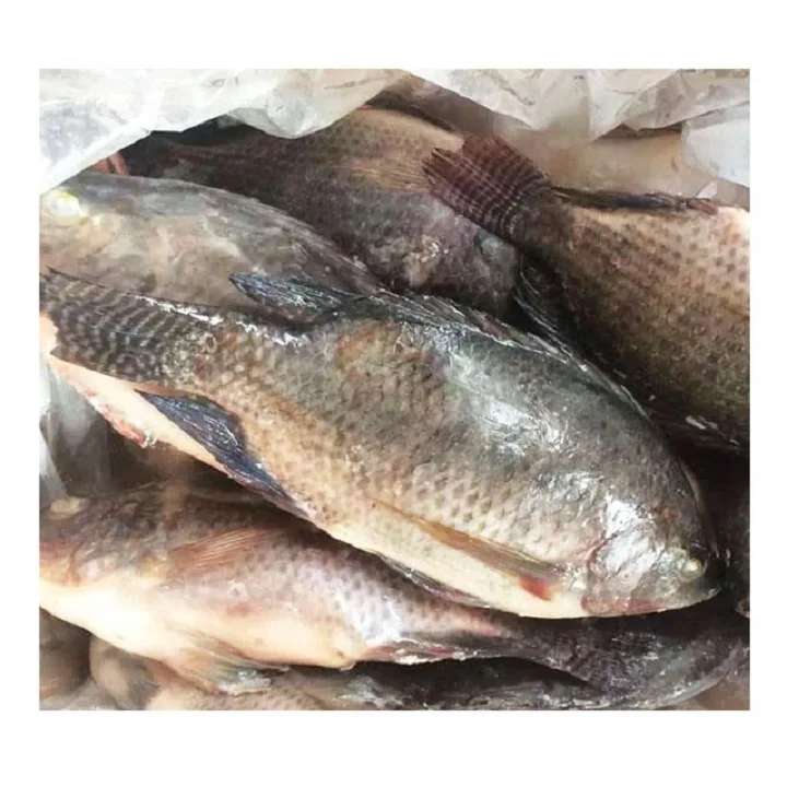  Свежие рыбные филе тилапии морепродукты лучшая замороженная без кожи не требующая химической