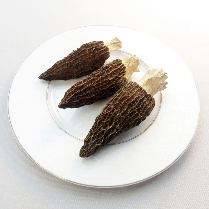 New Products 2022 Agriculture Buyer Favorite Edible Reasonable Morels Mushroom Price Of Morchella Mushroom