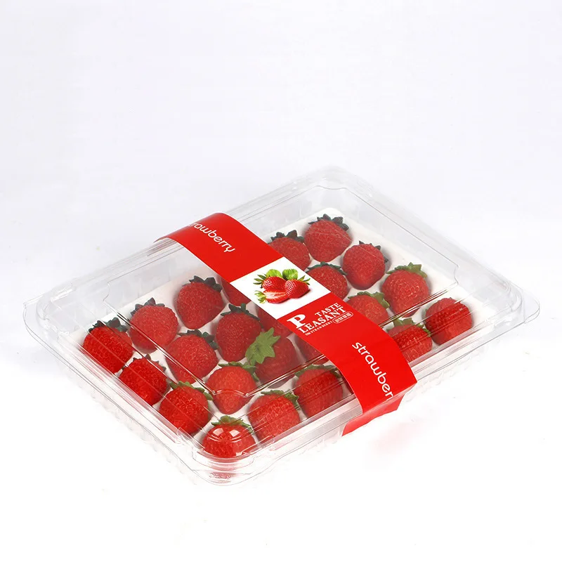 Reusable 9 11 12 15 20 24 pcs Insert Disposable PET Custom Food Grade Blister Container Plastic Fruit Strawberry Packaging Tray
