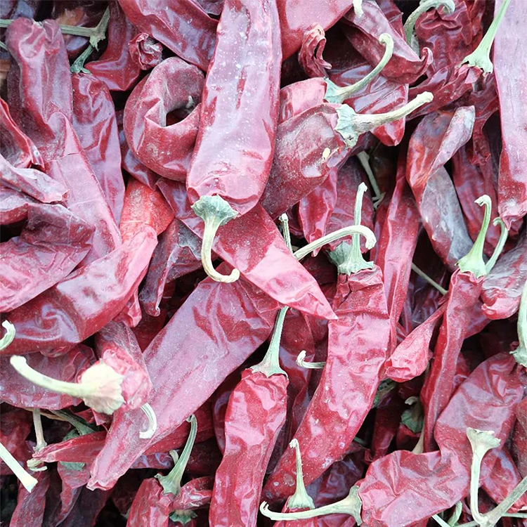 Оптовая продажа Новое поступление высокое качество Сушеный Перец