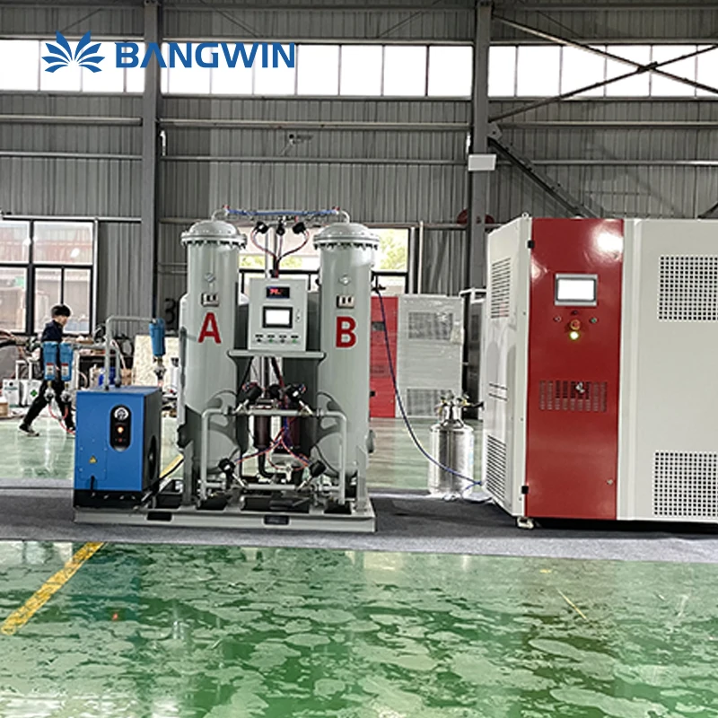 BW Factory Price 30L/hr Small Liquid Nitrogen Plant Ln2 Generator Liquid Nitrogen Machine