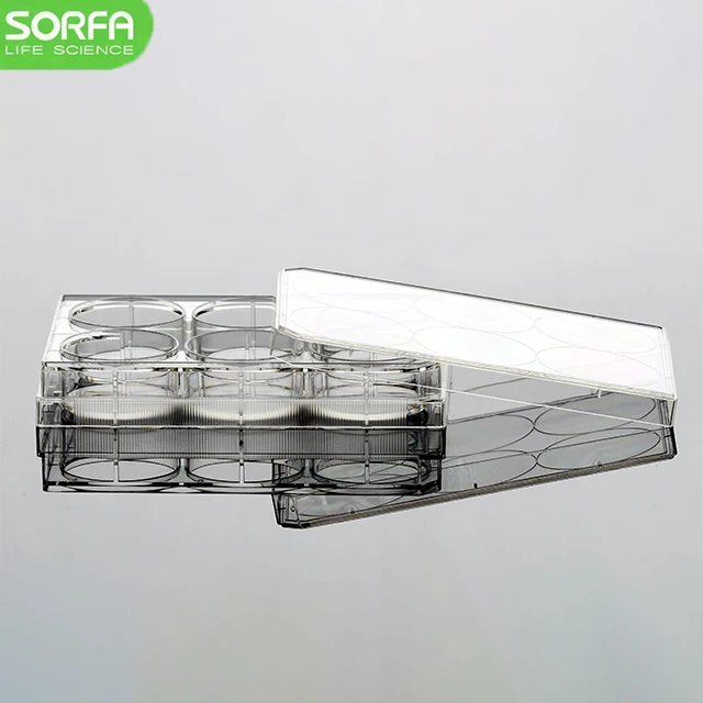 Химическое лабораторное оборудование стерильный обработанный пластик 6 колодец клетка культура плита