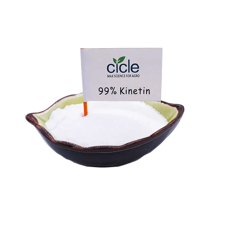 Free sample available kinetin cytokinin  CTK 99%TC plant growth regulator