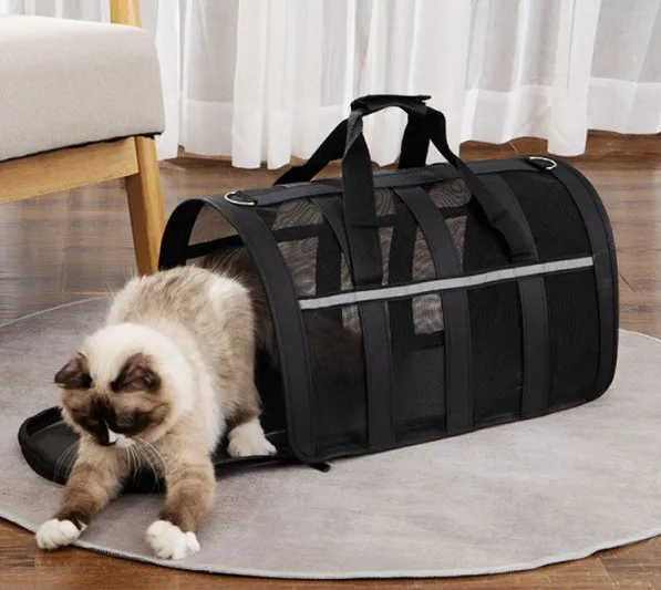 2023 Hot Large Pet carrier Breathable expandable Portable folding Pet Carrier Bag for outdoor easy travelling