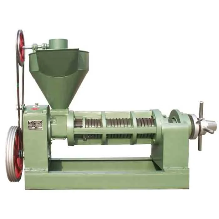 Mini Home Use Peanut Soybean Oil Press Machine