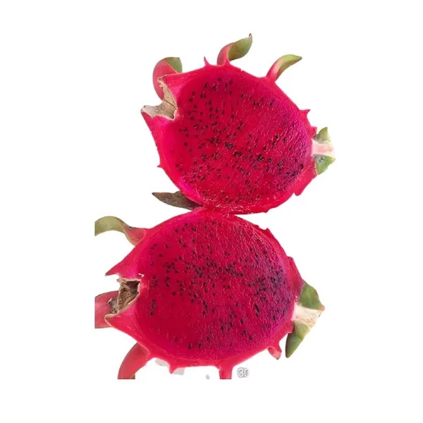 
High Quality Company Vietnam Good Product And Juicy Fresh Dragon Fruit Products In Bulk Eco Friendly Farm Best Price Buy Now 