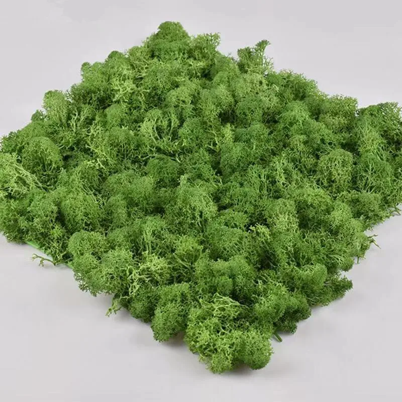 Real preserved moss  impurities fresh moss 30*30cm moss panel for  home wall decoration