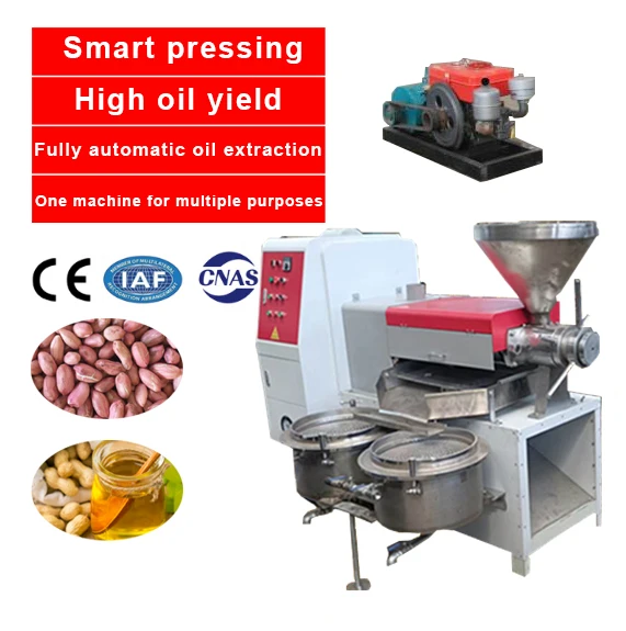 150-260kg/h Professional Palm Nut Almond Soya Bean Oil Press Machine Plant Industrial Oil Press Machine On Sale