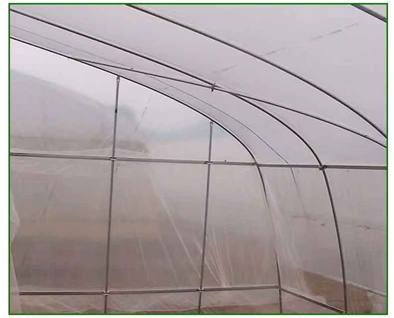 Manufacturer wholesale single arch shed internal and external thermal insulation strawberry greenhouse
