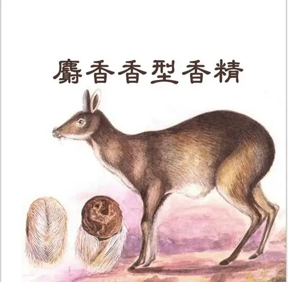 
Food grade fishing bait musk flavor Synthetic cocentrated flavor fish feed musk aroma 