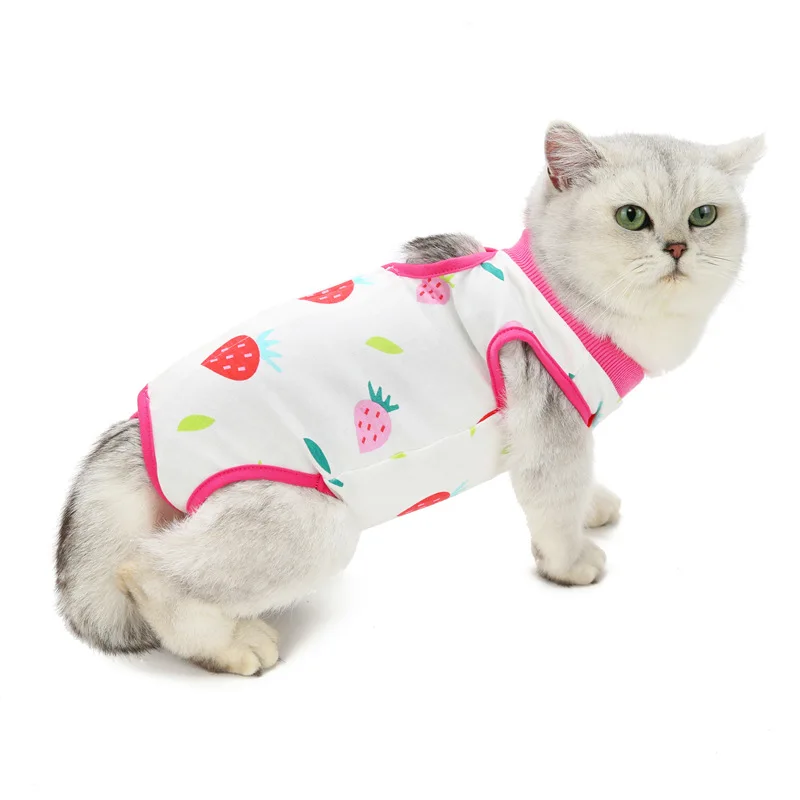 cat recovery suit (21).jpg
