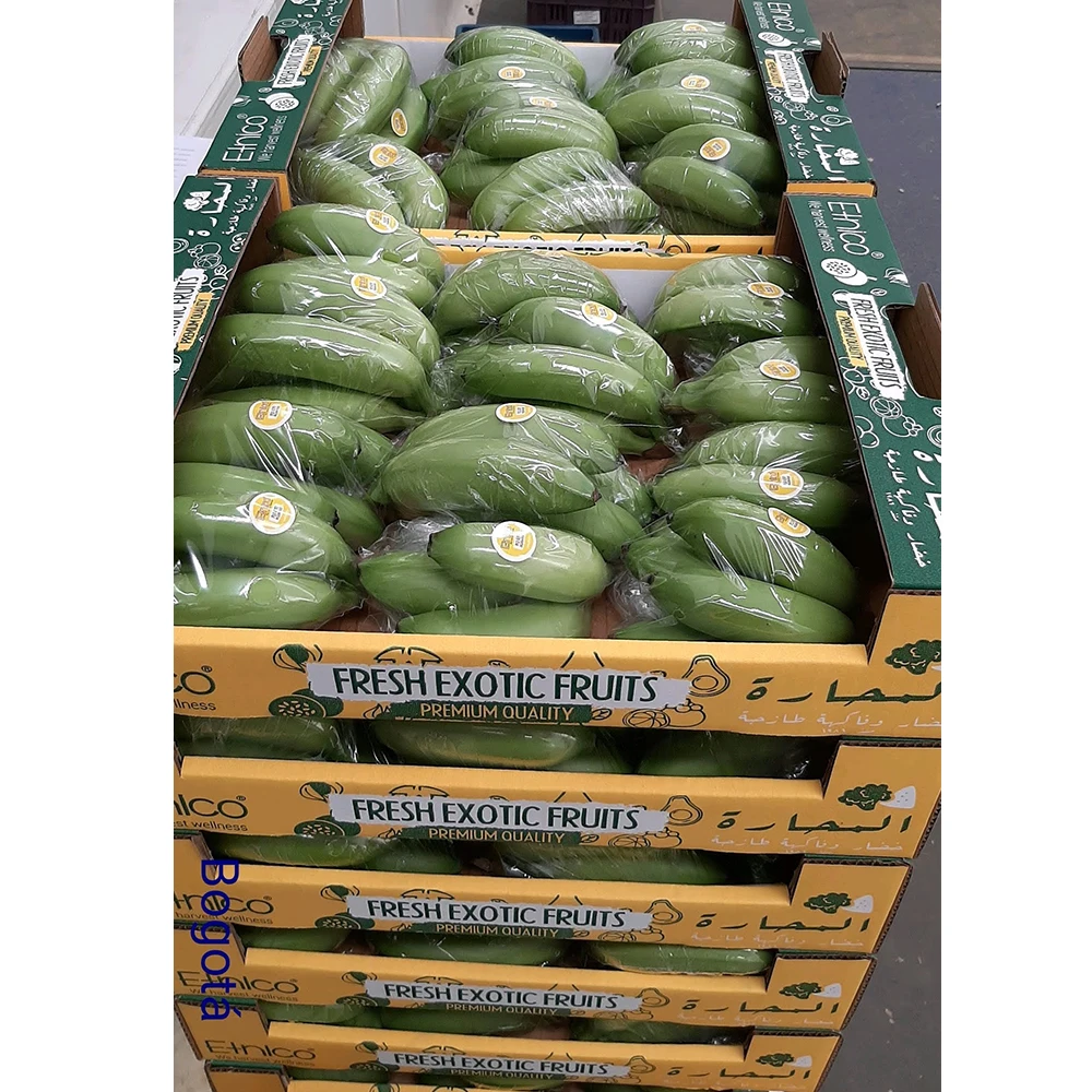 Fresh Corp Fruit Banana Bocadillo Best Fresh Wholesale Baby Banana On Selling