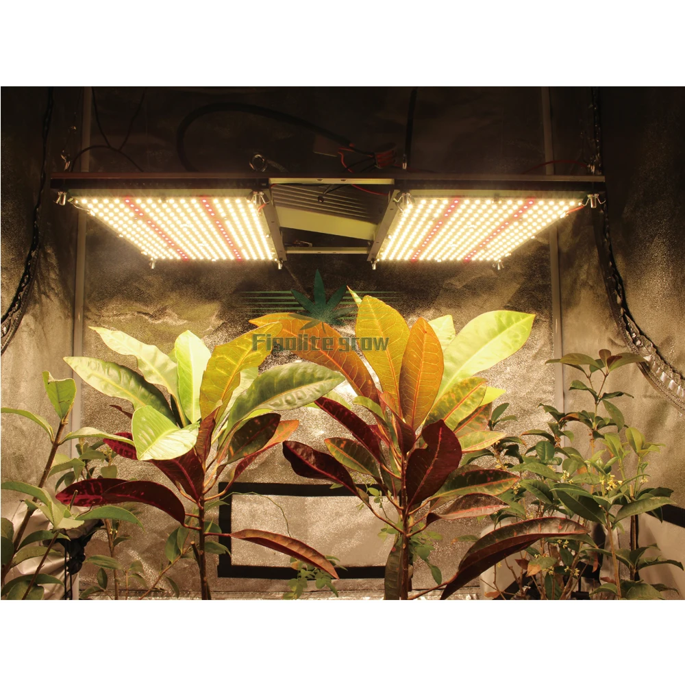 Separate heatsink 240W LM301H V3 board LED Grow Light 3000K 3500K 4000K mix 660nm UV IR MeanWell