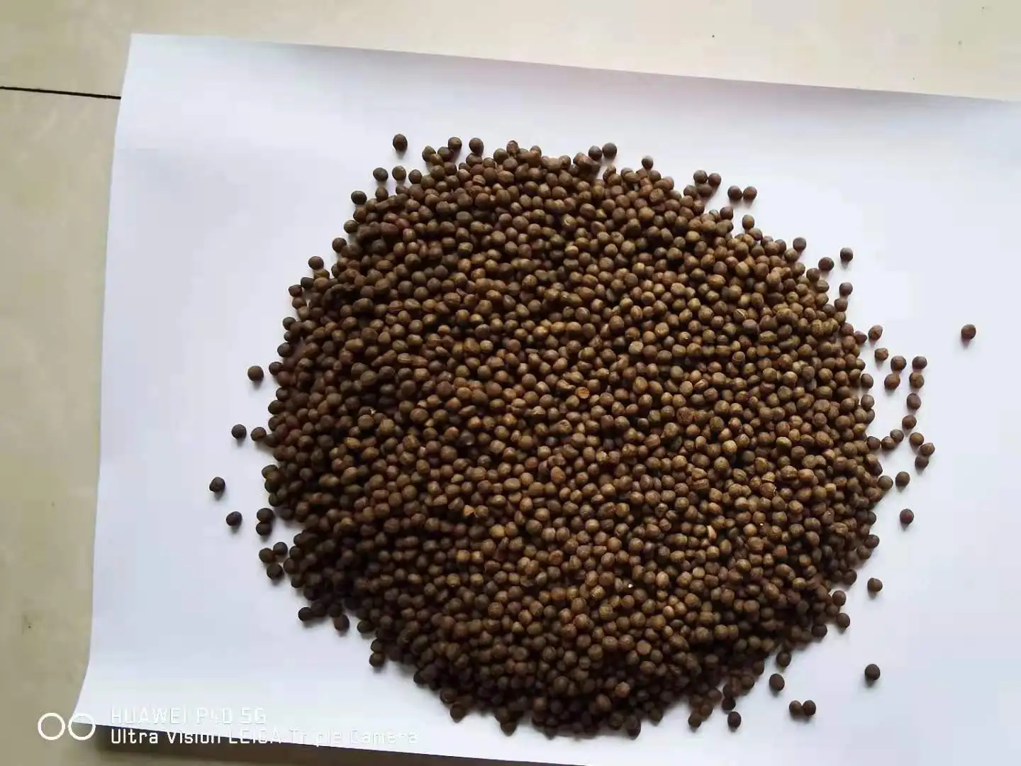 own factory production premiunm quality extruded formula  ablone  feed with low price