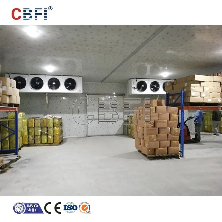 High Quality Ammonia Cold Room Storage For Chicken Meat Fish Fruit New Type Ammonia Cold Storage For Fruits And Vegetables