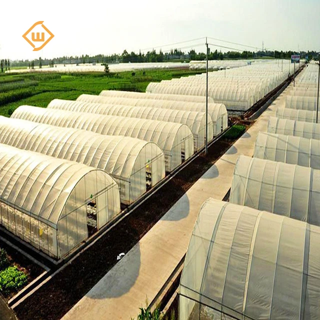 Best-selling galvanized steel structure ventilation system single-span greenhouse for growing tomatoes