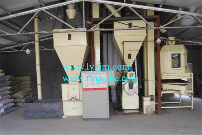 2TPH feed production line.jpg