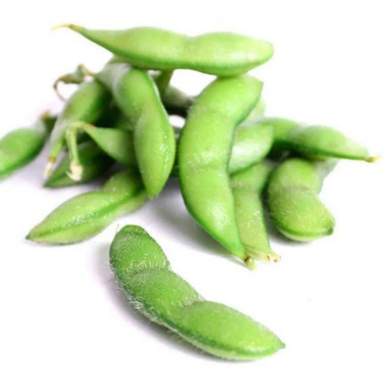 Wholesale High Quality Iqf Frozen Food Frozen Vegetables Green Edamame Soy Bean