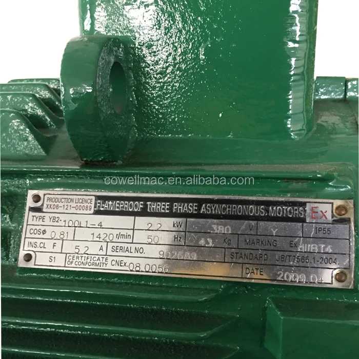 YB-80 Rotary Vane Pump gasoline pump