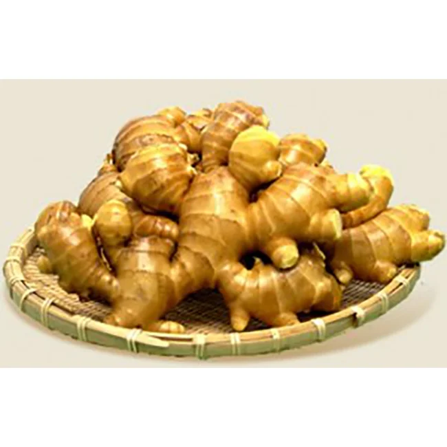 
Uenoya Rich Umami Strong Taste Hot Water Liquid Ginger Extract 