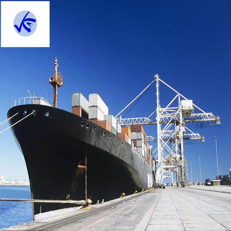 Cheapest ship agent from china to DUBAI by sea ddp door to door