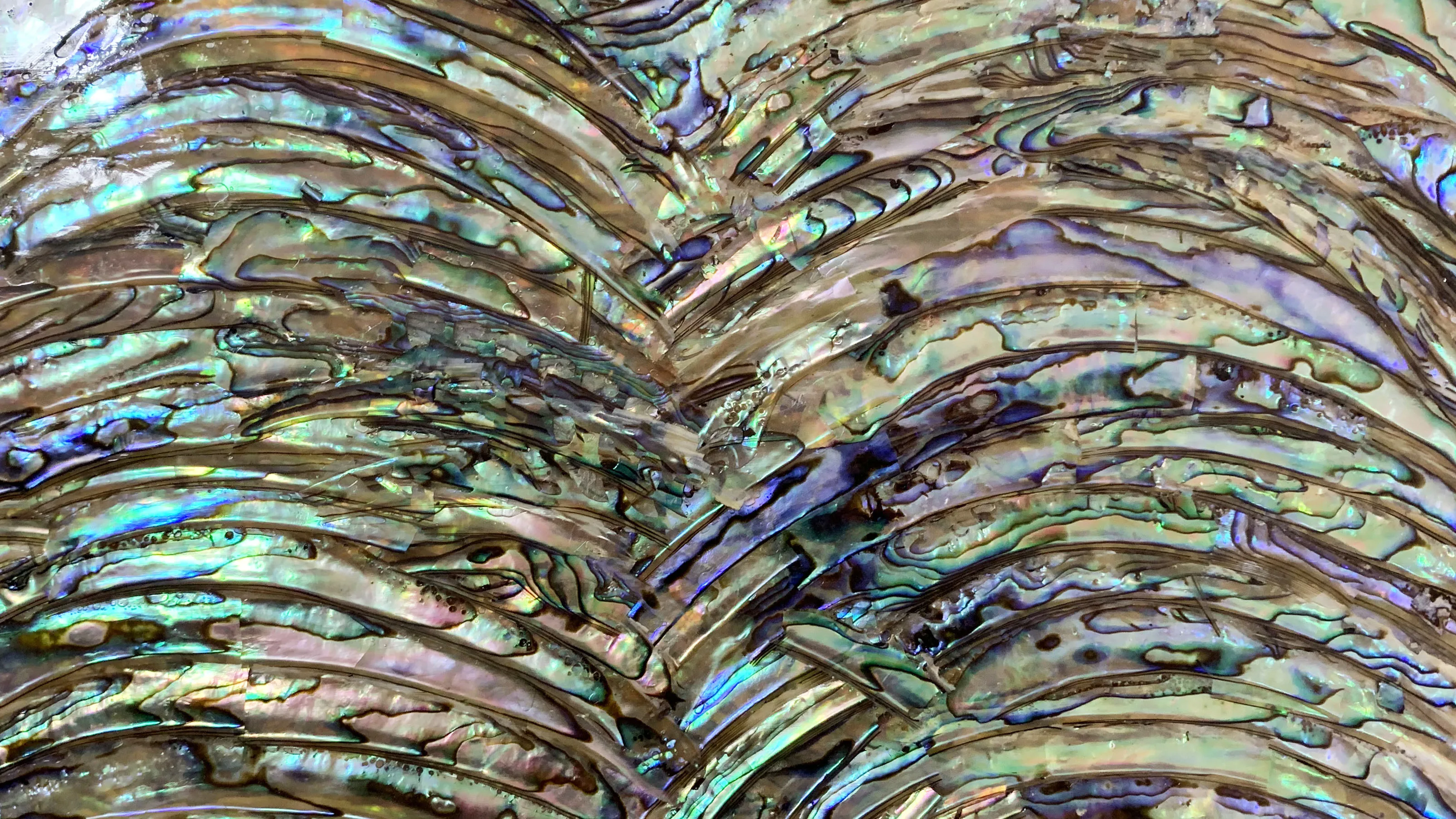 Natural Shell Sheet New Zealand Paua Abalone Home Decor Material River Shell Sheet