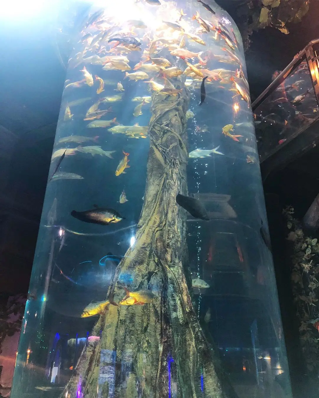 A & C 1000 мм большой диаметр литая акриловая трубка большие круглые цилиндры для