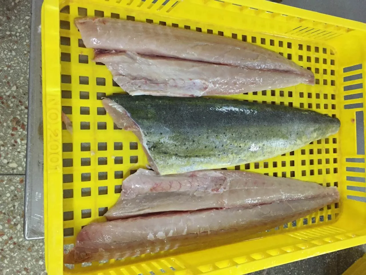 
Frozen Mahi Mahi Fillet Indonesia Origin 