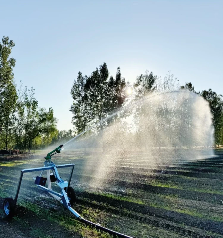 Manufacturer Direct Sales High Standard Watering Irrigation Sprinkler System Garden Rain Gun Sprinkler