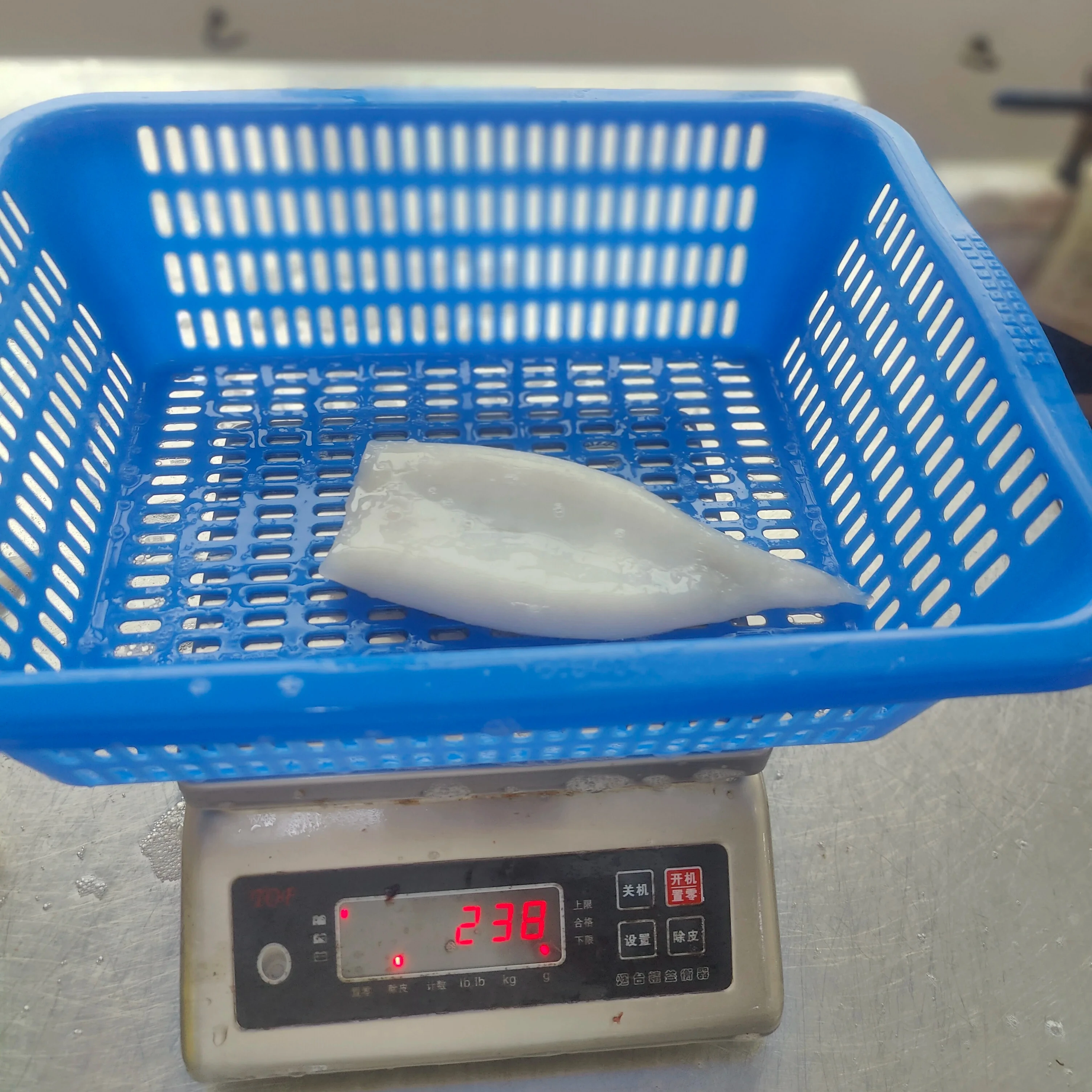 Hot Sale High Quality Frozen Squid Tube U5