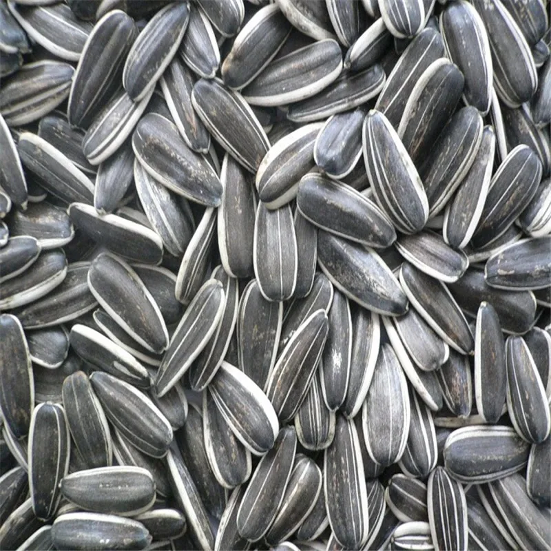 sunflower seeds 06.jpg