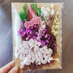 Embossed Dried Flowers Material Package for DIY Scented Candle Photo Frame