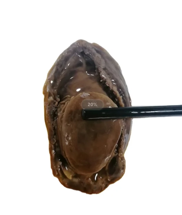 
Cooking Abalone for Sale Live Abalone Abalone Online 