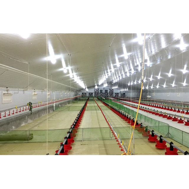 China Low Cost light metal prefab chicken farm shed building steel structure chicken house with automatic chicken Equipment