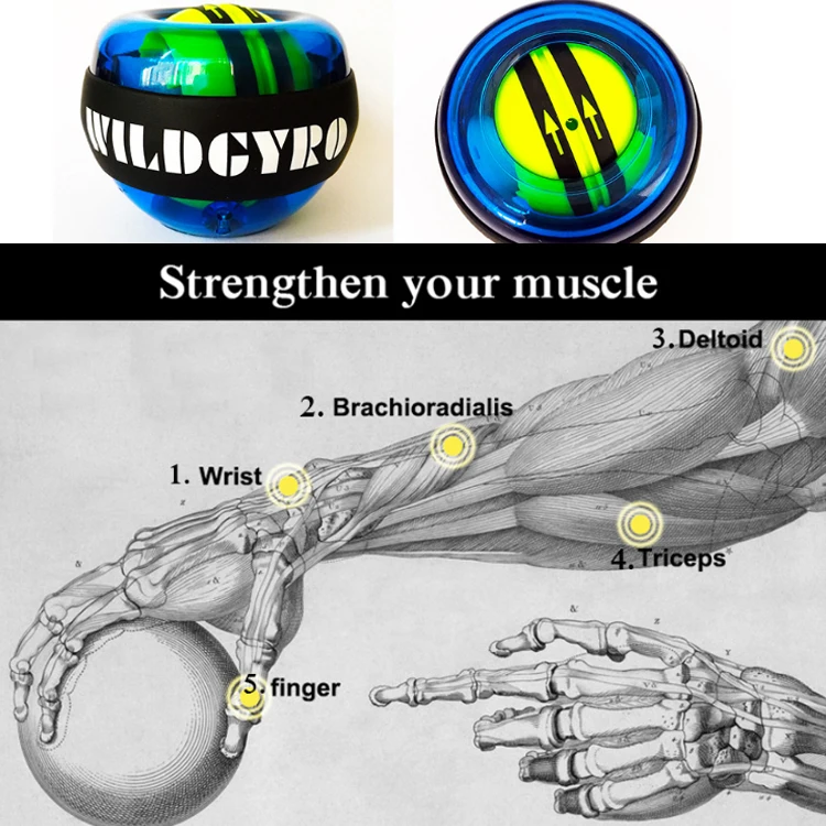 Wholesale OEM Arm Strengthener fitness exercise Power led trainer wrist ball
