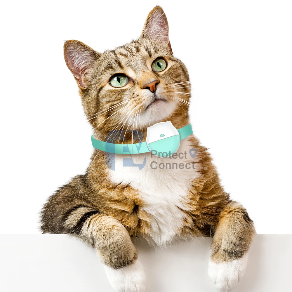 Tracking Pets Daily Activities EVIEW New Generation 4G NB Kitty Puppy GPS Tracker Collar