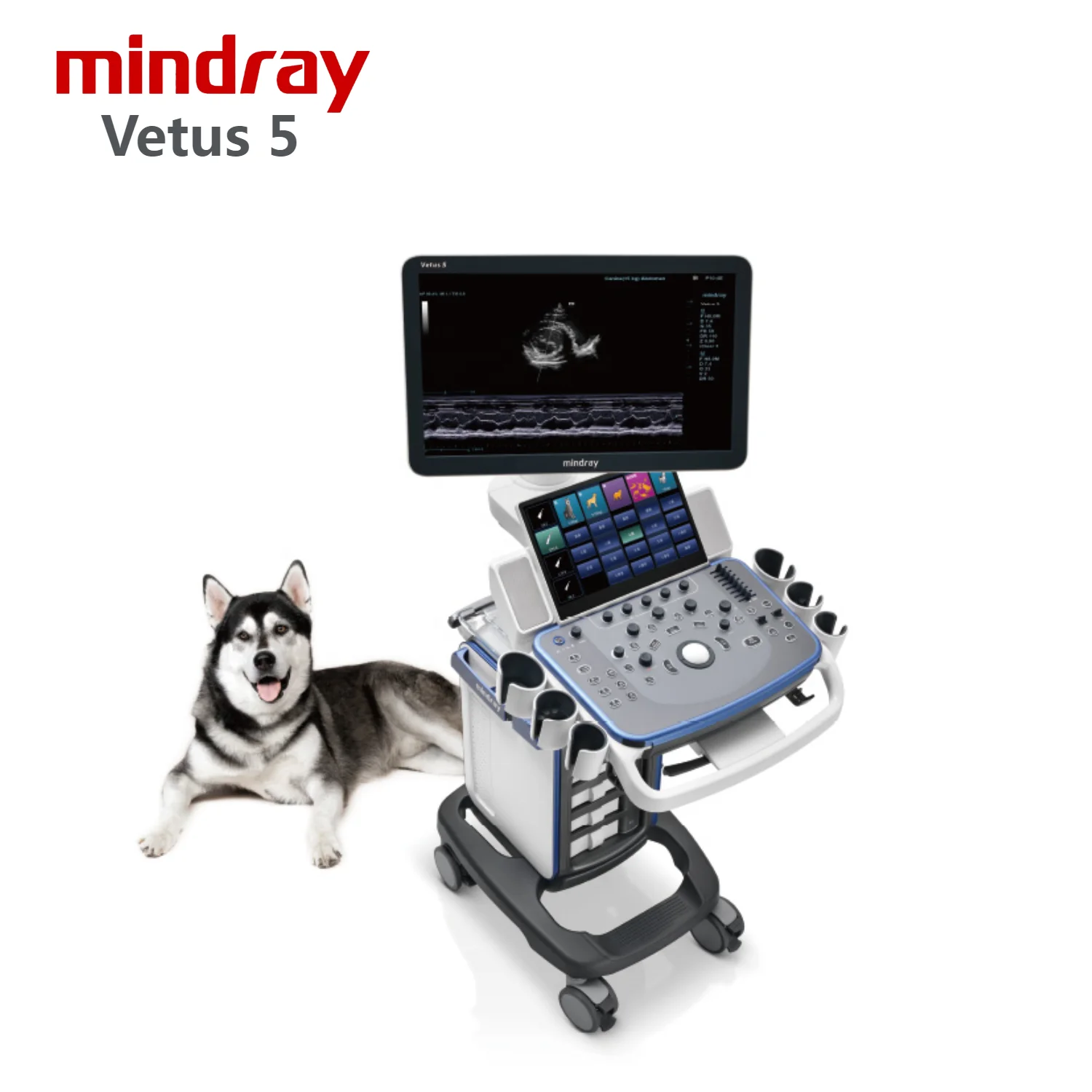 Mindray Vetus 5 Color Doppler ultrasonido Diagnostic Veterinary ultrasound examination Equipment for animals