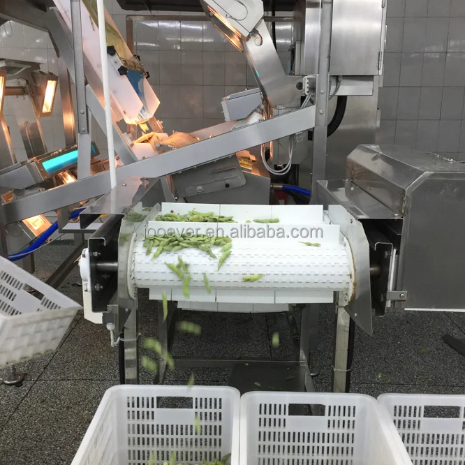 IQF Замороженные соевые бобы Edamame фасоль премиум качества овощи
